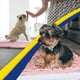 thumbnail image 5 of Felpudo para perros Muddy Mat® Original, superabsorbente, rosa, 45 x 70 cm, 5 of 6