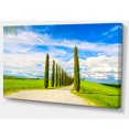 thumbnail image 2 of White Road through Cypress Trees - Oversized Landscape Wall Art Print, 2 of 3