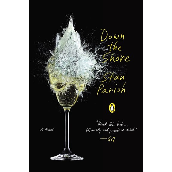 Pre-Owned Down the Shore (Paperback) 0143127330 9780143127338