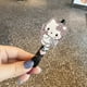 thumbnail image 2 of 1/4 Uds Sanrio lindo KT gato bolígrafo negro prensa estudiante novia edición limitada bolígrafo lindo chica corazón útiles escolares, 2 of 4