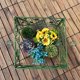 thumbnail image 2 of 6 enrejados para jardín, para plantas de interior, para flores y plantas trepadoras, 2 of 8