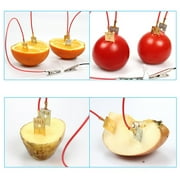 SPRING PARK Fruit Battery Light Diode Generator Science Experiment Kit