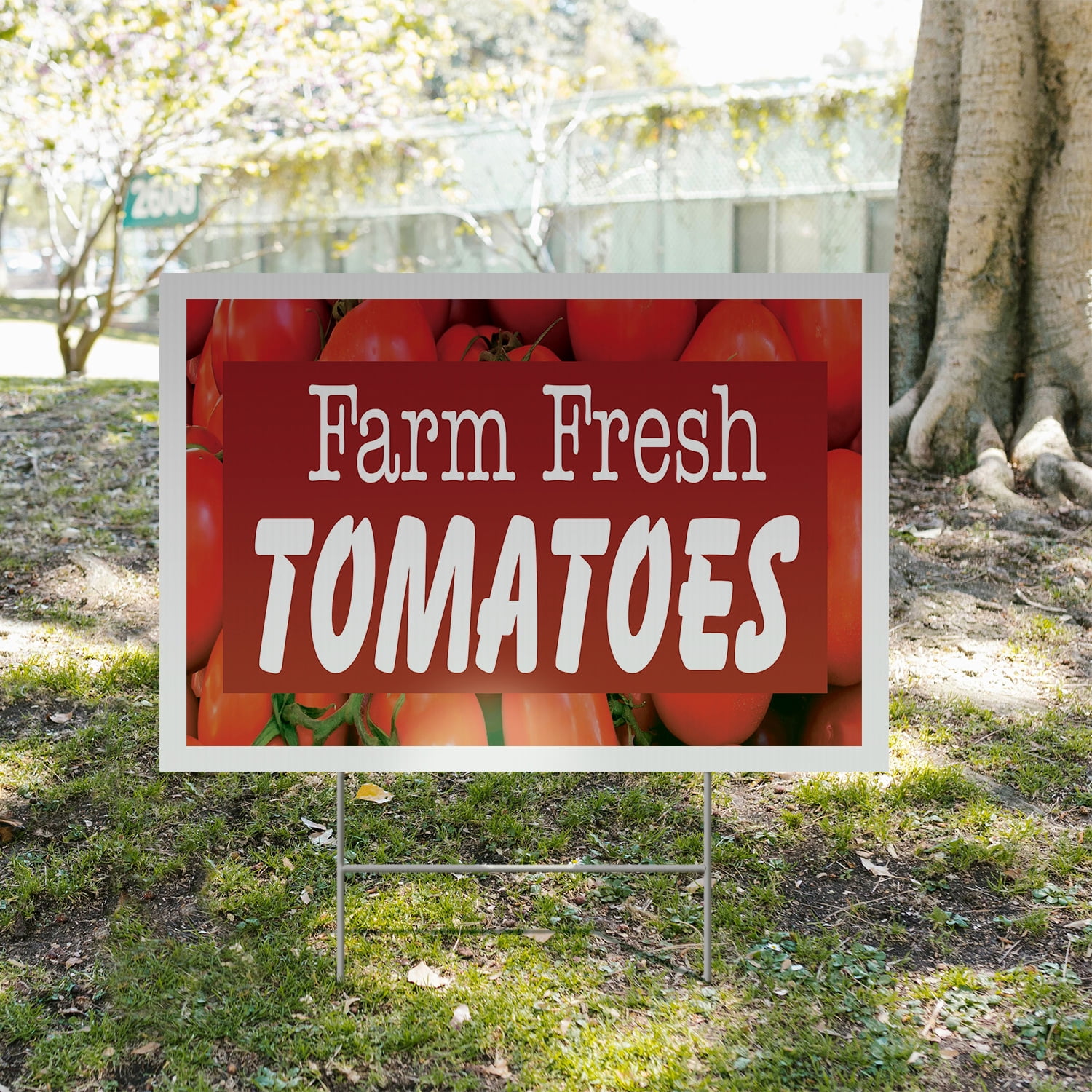 Farm Fresh Tomatoes Yard Sign 12 Inch x 16 Inch Single Sided Weatherproof Heavy-Duty Plastic with Stake | Juicy Vegetables, Local Produce, Healthy Choices | Made in USA