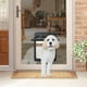 thumbnail image 3 of Puerta con mosquitero para perros - Puerta con mosquitero para mascotas con cerradura Puerta para perros para mosquitero Fácil de instalar Puerta para, 3 of 7