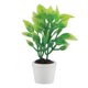 thumbnail image 1 of Planta verde en miniatura, Planta verde en miniatura artificial Planta verde artificial Planta en maceta artificial Uso conveniente, 1 of 8