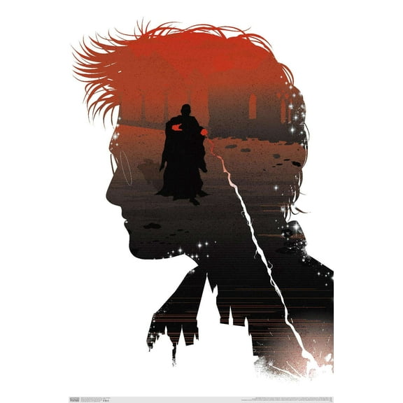 The Wizarding World: Harry Potter - Inner Struggle Wall Poster, 14.725" x 22.375"