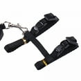 thumbnail image 4 of GASTROPOD Adjustable Lightweight Safe Escape Proof Harness for Cats Outdoor Walking, 4 of 7