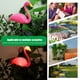 thumbnail image 2 of A: Individual Solar Flamingo Cadena Solar Jardín Jardín Césped (A), 2 of 9