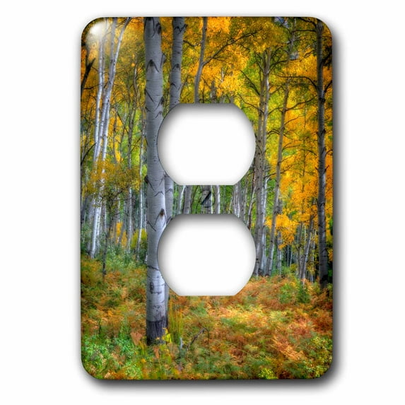 Autumn colored ferns under aspen trees 2 plug outlet cover lsp-335028-6