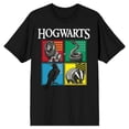 thumbnail image 6 of Harry Potter Hogwarts House Emblems Men's Black Graphic Tee-4XL, 6 of 7
