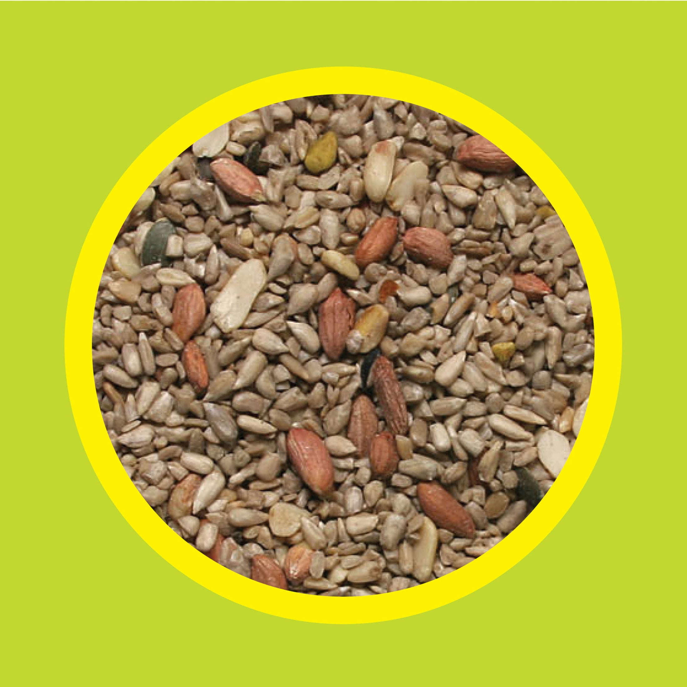 (2 pack) 3-D Pet Products Deck Porch and Patio Wild Bird Food Block, Dry, 16 oz. Block, 1 Pack