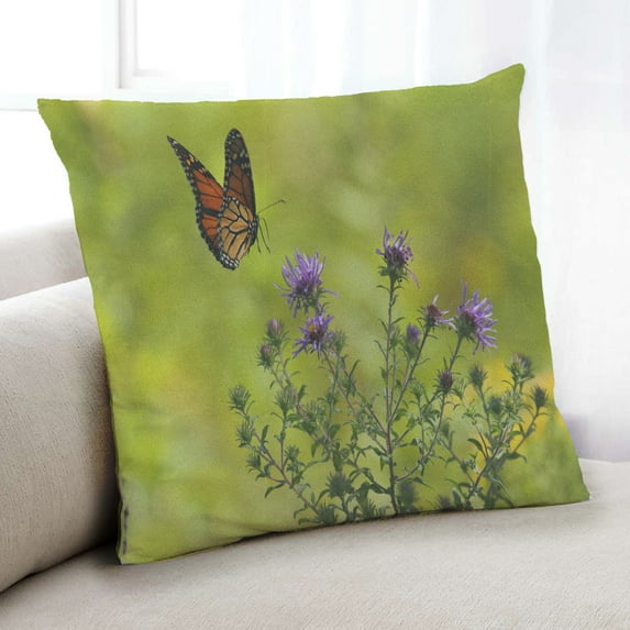 Ahgly Company Insects Butterfly Indoor Throw Pillow, 18 inch by 18 inch