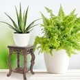 thumbnail image 2 of Flower Pot Base Plant Stand Wooden Plant Stand Holder Flower Pot Rack for Garden Patio, 2 of 4