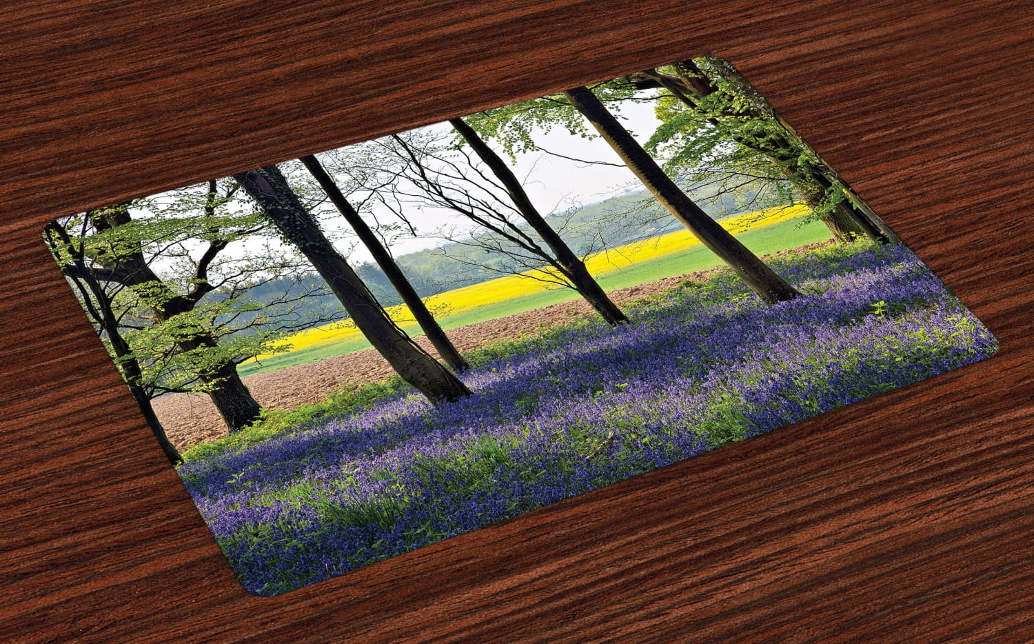 Woodland Placemats Set of 4 Bluebells in Wepham Woods Wildflower Spring