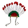 thumbnail image 3 of Tocado de plumas jinwen Estilo B 67 cm x 78 cm, 3 of 8