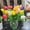 E-6 Colors 15Pcs, variant on Liulin 1Pc Tulips Artificial Flowers, Real Touch PU Fake Tulips, Realistic Faux Tulips for Spring Easter Mother's Day Floral Arrangements Home Kitchen Office Wedding Party Decorations, 14.2", Pink