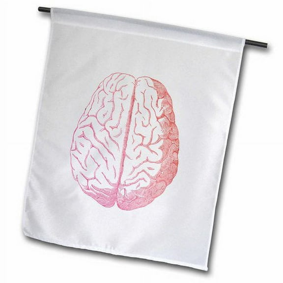 3dRose, Pink Brain, 12 x 18 inch Garden Flag