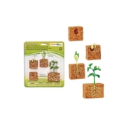 Safari Ltd. Life Cycle of a Green Bean Plant - Educational Toy Figurines - Miniature Plant Lifecycle Collection for Kids Age 4+