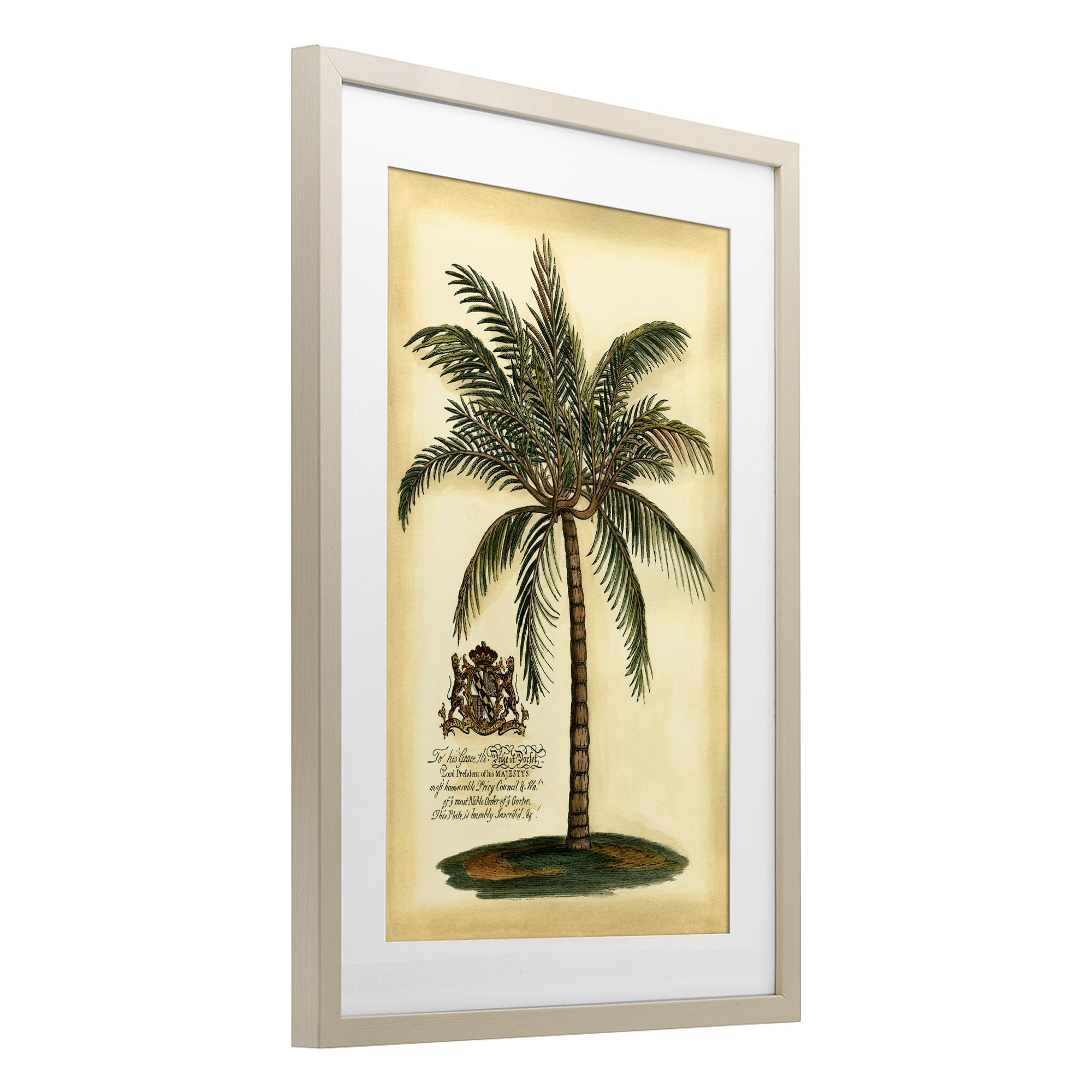 Stupell Industries British Colonial Palm Birch Framed Print Under Glass, design by Vision Studio