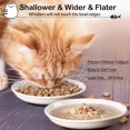 thumbnail image 3 of Cat Food Bowl,Healthy Ceramic Cat Bowls for Indoor Cats,Anti Whisker Fatigue Cat Dishes Set,Shallow Wide Kitten Plates for Food and Water,Non-Slip Silicone Bottom,3 Pack, 3 of 5