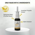 BEE and You Plus Propolis Nasal Spray 1 Fl oz Dry Nose, Sinus, Allergy Relief