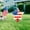 A, variant on Orangide Independence Day Flag Ground Stake Patriotic US Flag Stars and Stripes Yard Decoration for Garden Lawn Fourth of July Outdoor Holiday Party