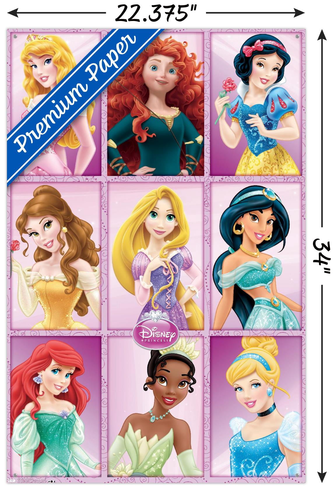 Disney Princess - Grid Wall Poster with Push Pins, 22.375" x 34"