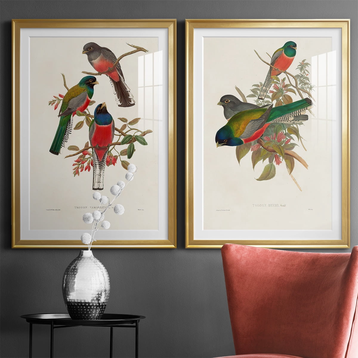Wexford Home Elegant Trogons IX Premium Framed Print, 22.5" x 30.5" - Ready to Hang, Gold (Set of 2)
