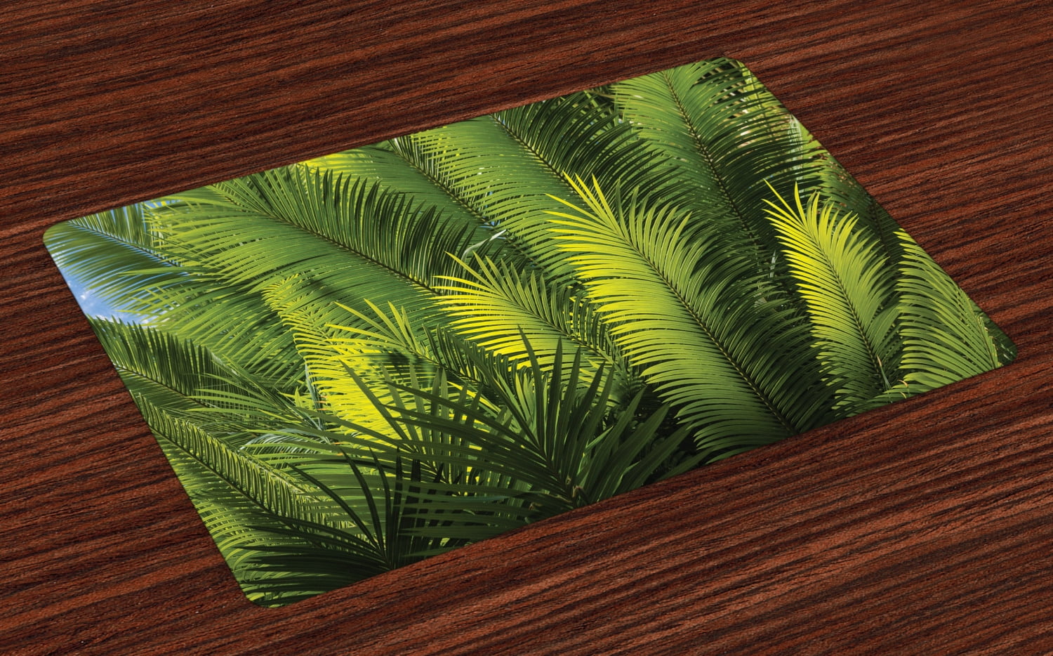 Palm Tree Placemats Set of 4 Plam Tree Foliage Tropical Plants Leaves