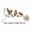 A, variant on Sulaicai Robin Garden Stake, 3 Robin Birds and Dandelion Design Yard Art Ornament, Vintage Rustic Metal Bird Yard Stake for Garden Walkway Landscape Decoration