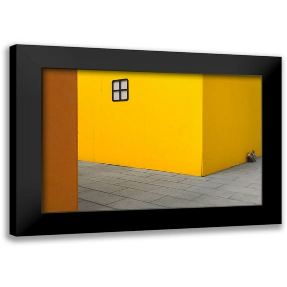 Tonti, Carlo 14x11 Black Modern Framed Museum Art Print Titled - Yellow street dog