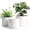 Matte White, variant on 10/9/8 Inch Plant Pots 3 Pack, with Drainage Hole & Saucers | Cylindrical plastic planters with drainage holes & saucers.