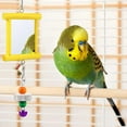 thumbnail image 5 of Bird Mirrors With Metal Bells Cockatiel Parakeet Mirror For Cage Bird Toy Cage D2T0 For Parrot Accessories Conure Swing, 5 of 9