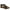 Black II, variant on Bearpaw Women's Black II Wilma Sandals, Size 5