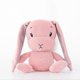 thumbnail image 1 of 1pc 25/50/65cm Cute Rabbit Plush Toy Stuffed Soft Animal Rabbit Doll Baby Kids Toys Birthday Gift Christmas Present for GirlPink50cm Deng Xun unisex, 1 of 2