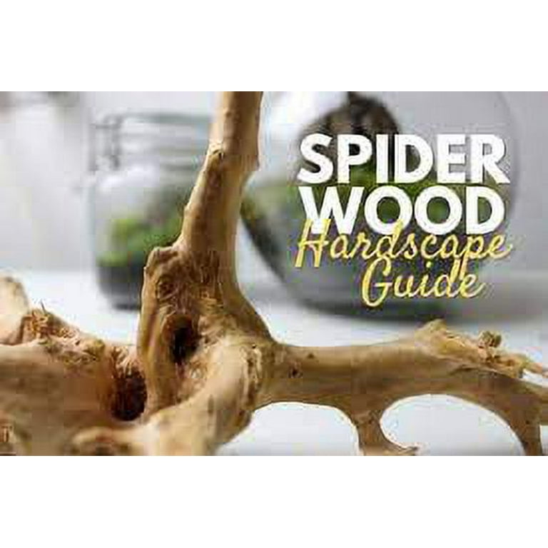 Aquarium Hardscape DriftWood: SpiderWood (X-Small 4-6 Inches
