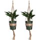 thumbnail image 1 of PC Redes colgantes con cuerda de cáñamo orgánico hecho a mano Cestas colgantes Decoración para interiores y exteriores 4 patas con bucles grandes. Afortunado Sencillez, 1 of 5