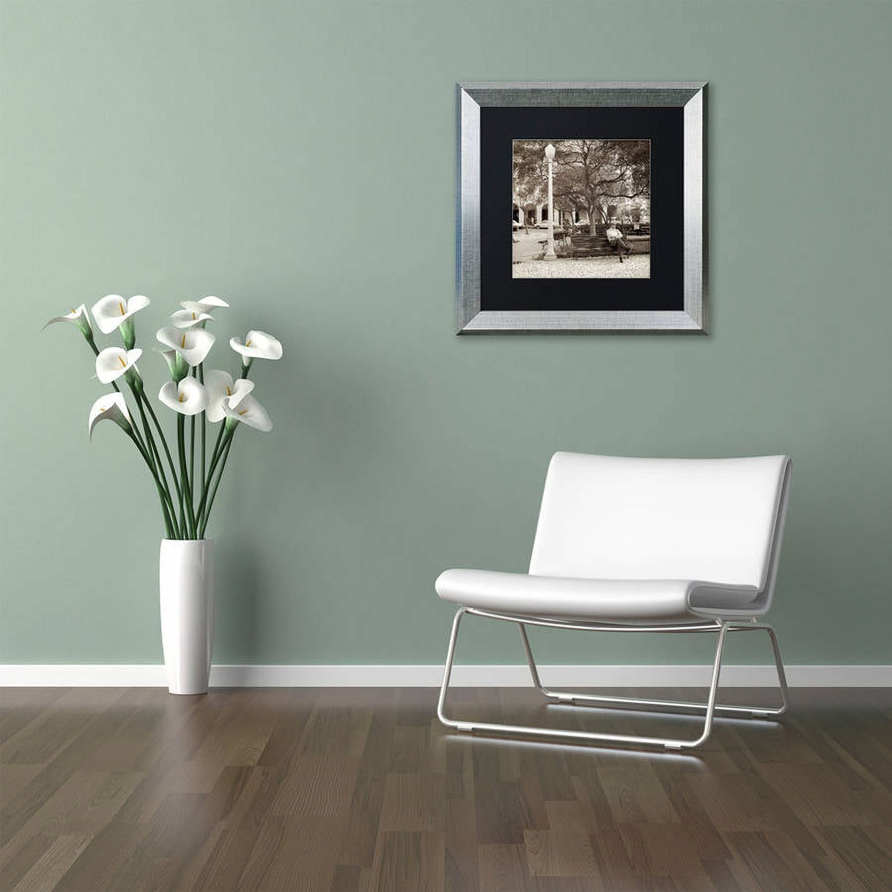 Trademark Fine Art "Faro I" Canvas Art by Alan Blaustein, Black Matte, Silver Frame