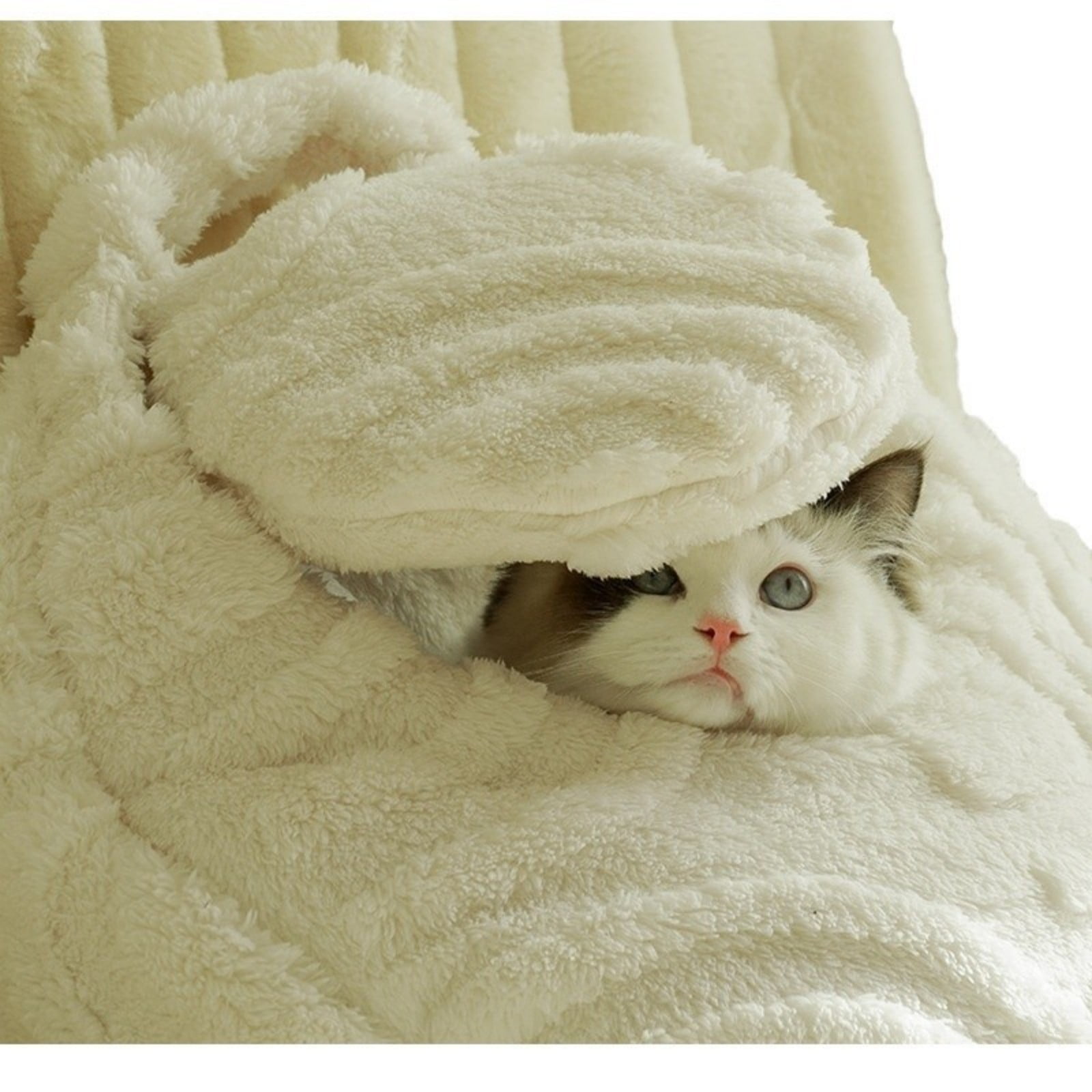 Minimalist Cat Bed for Deep Sleep and Relaxation Warm Cozy Winter Pet Bed Ideal Indoor Cats Comfort