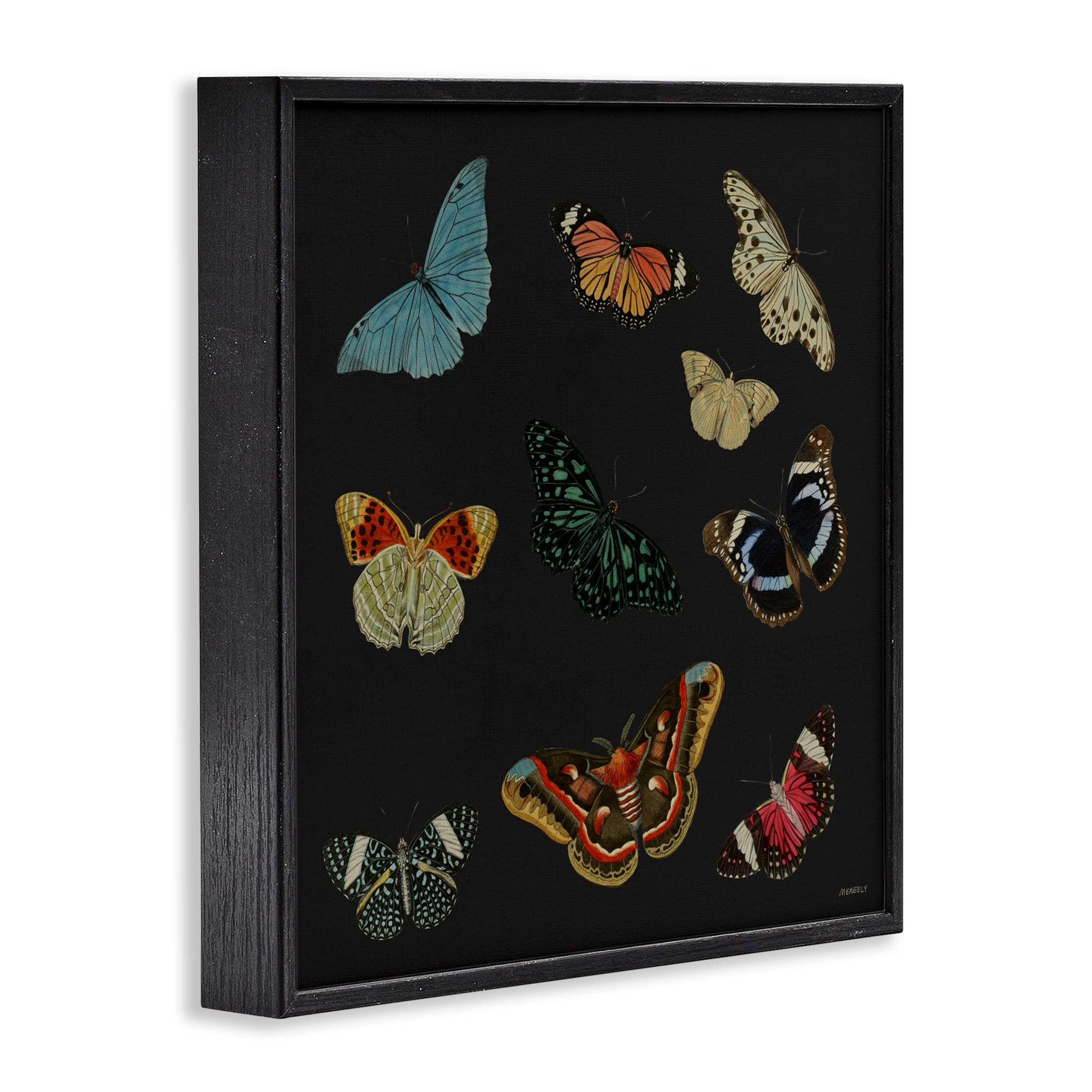 Stupell Industries Insects Group on Black Black Framed Giclee Art, design by Dan Meneely