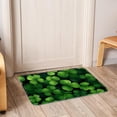 thumbnail image 6 of Saint Patrick's Day Non-Slip Polyester Outdoor Carpet Bath Rug Door Mat - Machine Washable, 6 of 6