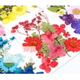 thumbnail image 3 of SUTENGDA 1 Pack Dried Flower Natural Dry Plants For Craft DIY Materia Accessories, 3 of 8