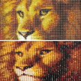 thumbnail image 3 of 5D Diamond Embroidery Kit by Number Diamond Painting Rhinestone Full Diamond Painting, Full Diamond Painting Kit, Diamond Painting Lion for Adults, Ho, 3 of 5
