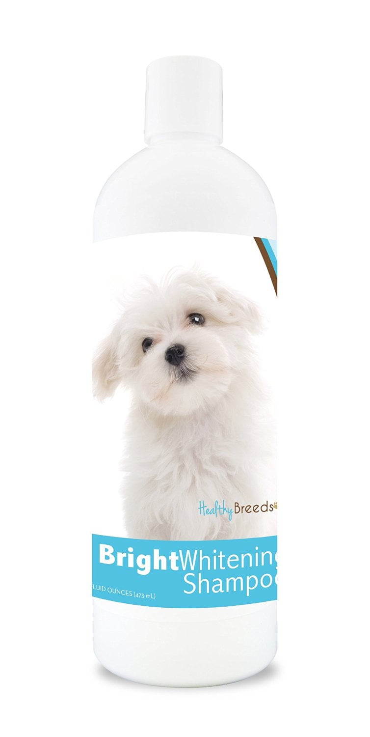 Healthy Breeds Maltese Bright Whitening Dog Shampoo 12 oz