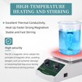 thumbnail image 4 of Agitador magnético Hot Plate LABHOUSE Lab 2L 300°C 572°F, 4 of 7