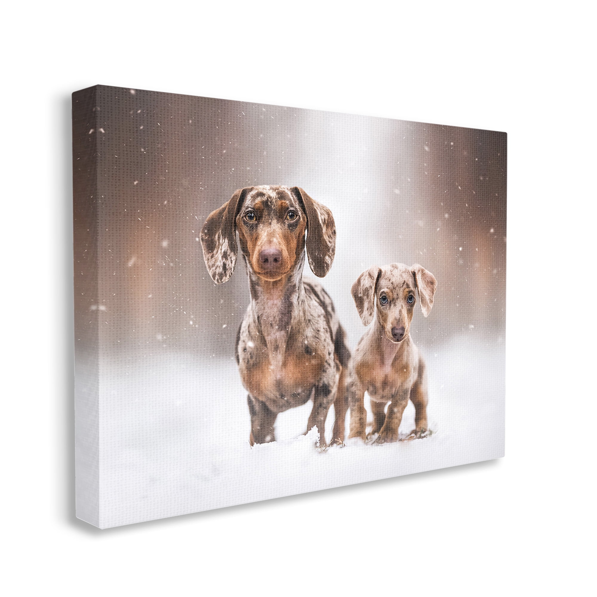 Stupell Industries Playing Puppies in Snow Animals & Insects Painting Gallery Wrapped Canvas Art Print Wall Art, 30 x 24