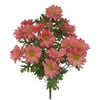 Better Homes&gardens Pink Lily Bush
