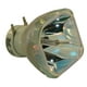 Remplacement de Lampe de Projecteur Original Philips pour Hitachi CP-AX2505 (Ampoule Seulement) – image 2 sur 5