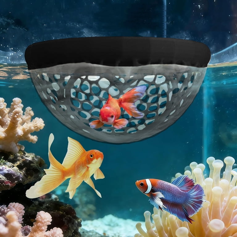 betta fish accessories Oltraman Small Tank, Aquarium Tank Kit with LED Lighting, 0.6 Gallon Stackable Fighting Fish Tank Set, Fish Bowl for Turtle Reptile Shrimp Crab Insects as Decoration slip role. Betta Fish Aliexpress Aquarium Accessories