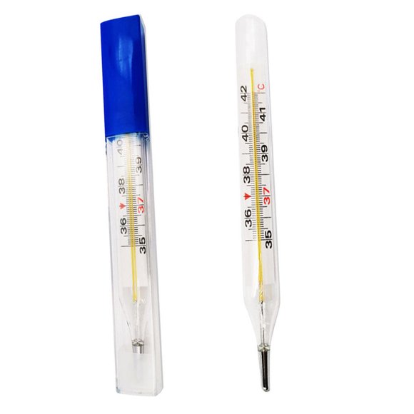 Mercury Thermometers